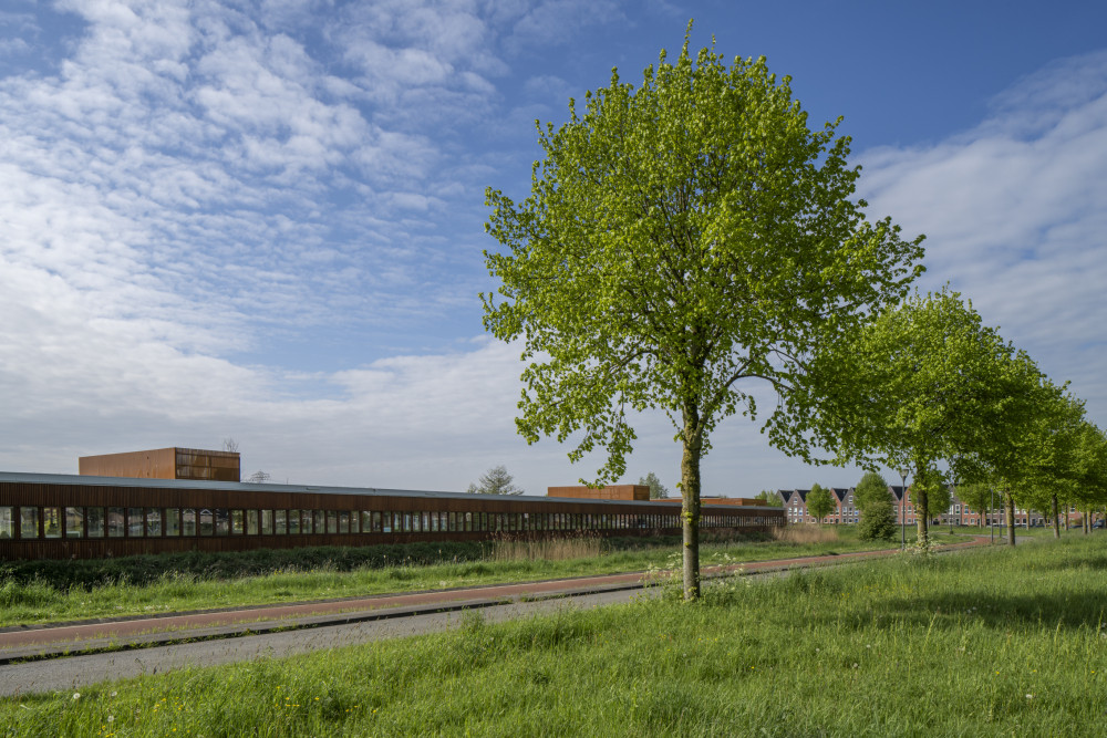 Reitdiepschool Rietwierde